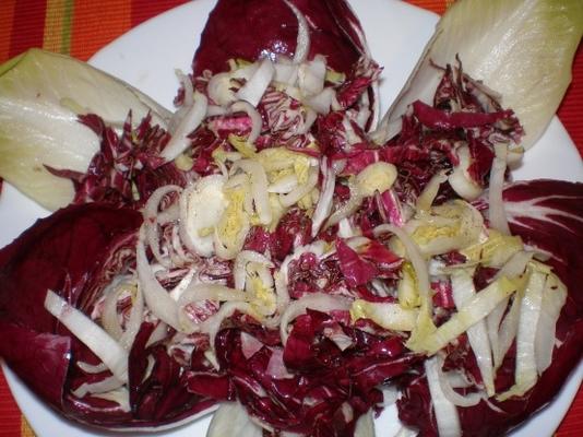 radicchio en andijvie salade