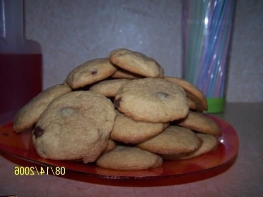 pionier picknickkoekjes