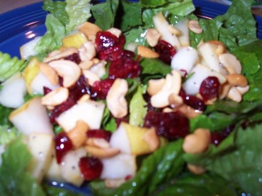 gefruite salade met dressing van papaverzaad