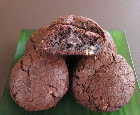 chocolade modderstromen (cookies)