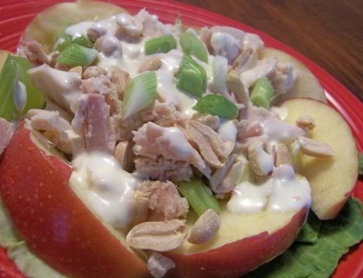 appel-pinda-salade met tonijn