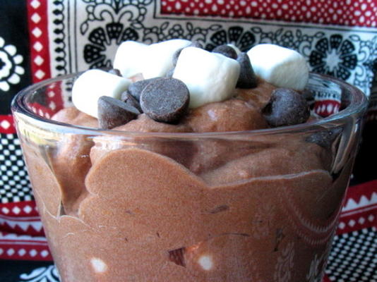 chocolade pudding pluis