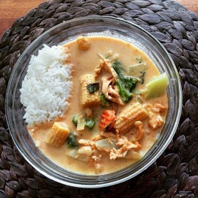 slowcooker / crock pot thai chicken curry