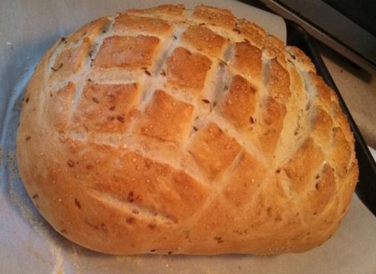 rozemarijn en geroosterd uienbrood (broodmachine deeg)