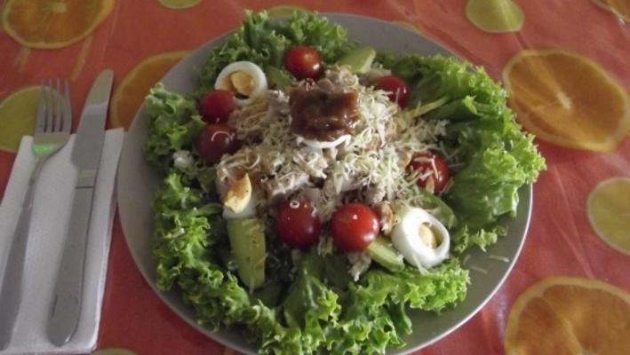 kiwicats gastronomische salade met kip