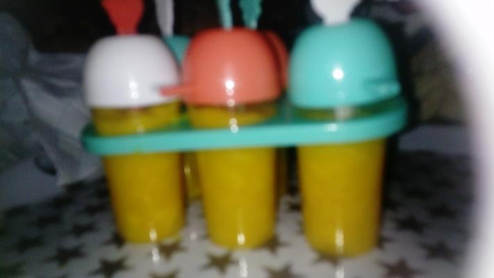 gewoon mango ijslollys