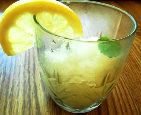 italiaanse limonade (chicago usa)