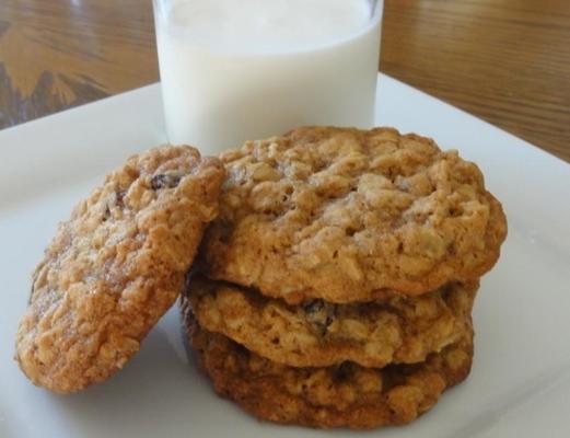 (nieuw) verdwijnende koekjes van havermeelrozijn
