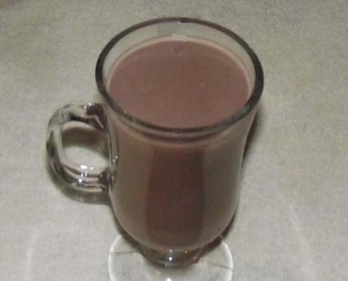 warme chocolademelk voor één