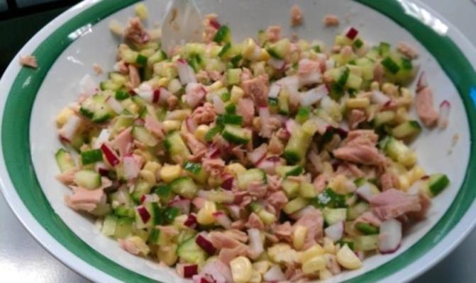 gezonde tonijnsalade of tonijn ceviche