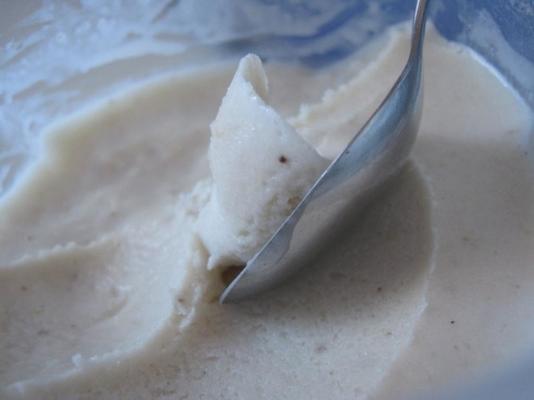 tropische bevroren yoghurt