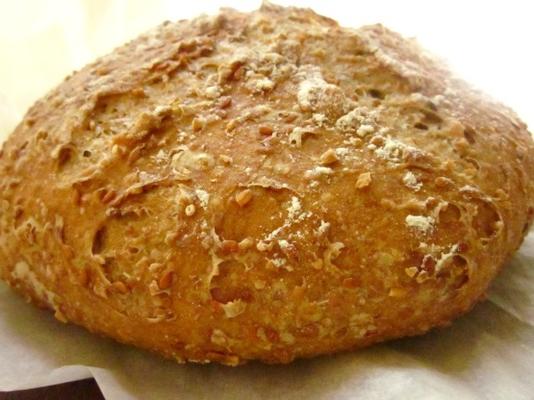 volkoren niet-gekneed brood met lijnzaad en haver