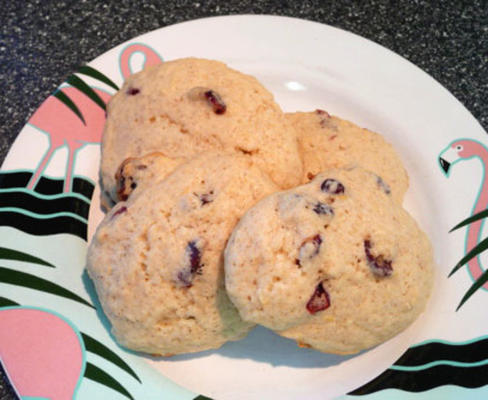 Gember en cranberry crunch cookies