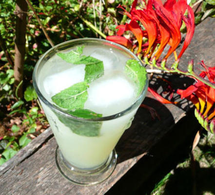 maagd coco mojito
