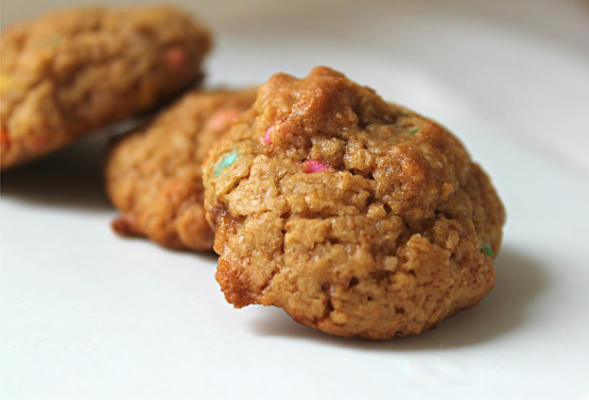 gemoute chocoladeschilferkoekjes - veganistisch