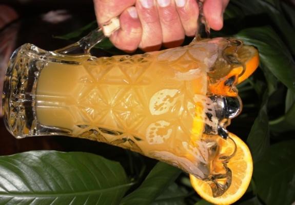samoan - oranje passievrucht - ade