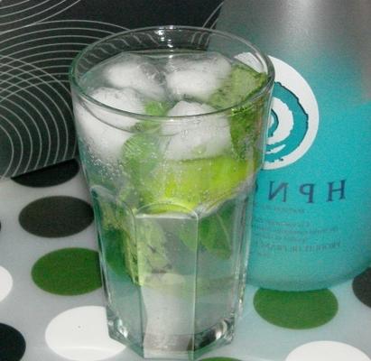 hpnotiq blauwe mojito