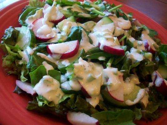 greens, cukes en radijssalade met romige dressing