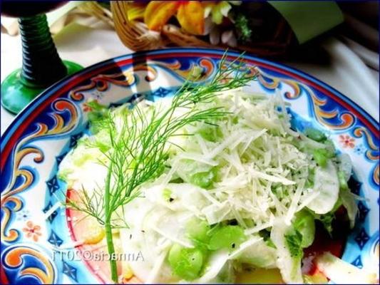 salade van venkel en selderie
