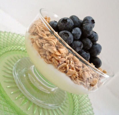 bosbessengranola yoghurt