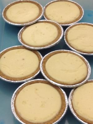 individuele cheesecakes