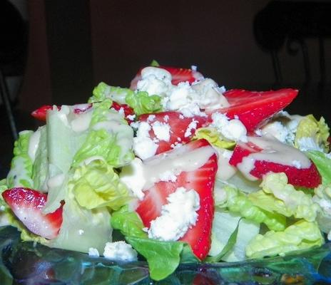 aardbeien feta salade