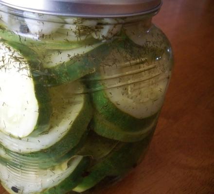 gemakkelijk luchtige pickles in de koelkast