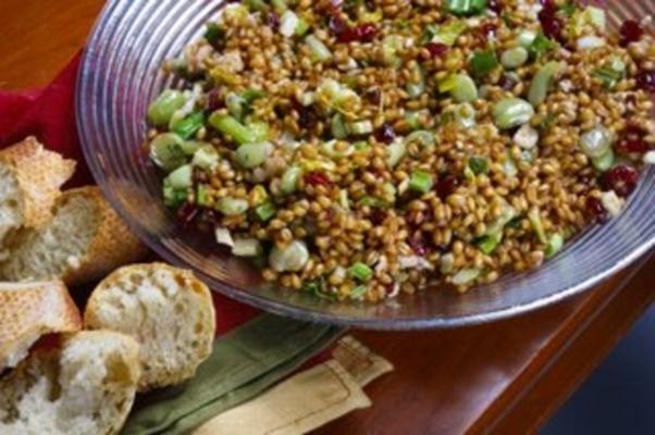 blauwe bietensalade van de hondbakkerij