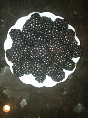 bevroren bramenmousse