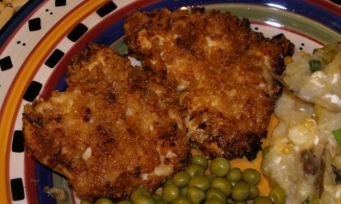 franse gefrituurde ui kip iii