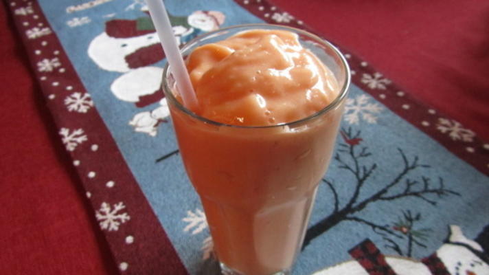 enzym smoothie (rauwe veganist)