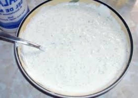 mast-o musir - perzische yoghurt dip met sjalotten