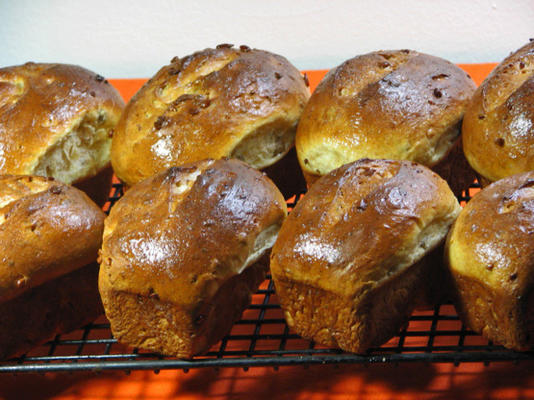 zonnebloemzaad en oranje brood