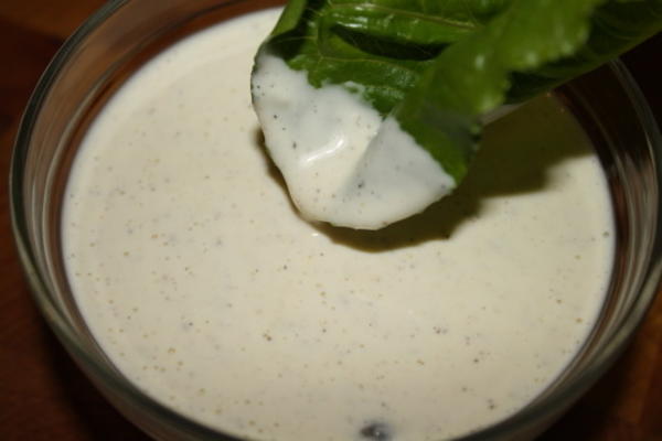 mierikswortelmayonaise (veganistisch)