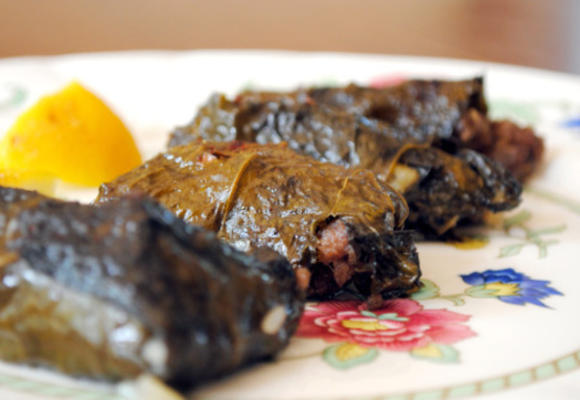 Griekse dolma aka gevulde druivenbladeren