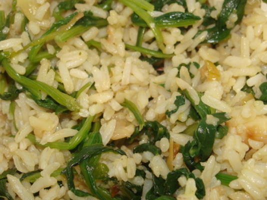 spinazie rijst - spanakorizo