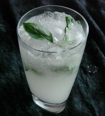 basilicum mojito