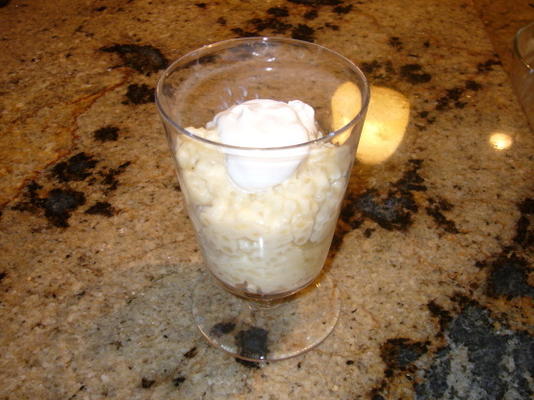 zelfgemaakte tapioca pudding