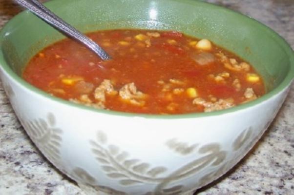 Mexicaanse chili crockpot-soep van lori