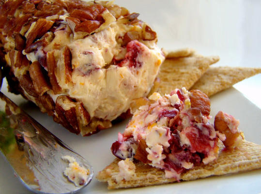 cranberry en pecan kaas log