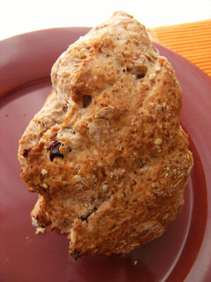 karnemelk koekjes met veenbessen