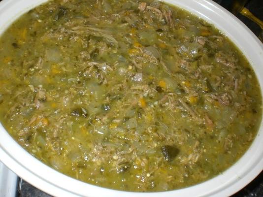 ultieme varkensvlees Chili verde