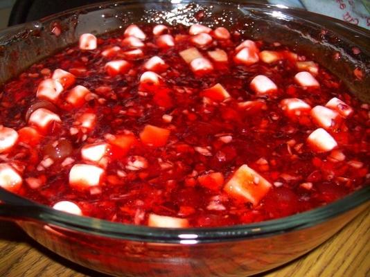 vakantie cranberry fruitsalade