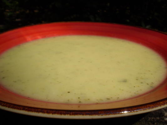 sopa de calabacin y guajolote (courgette en kalkoensoep)