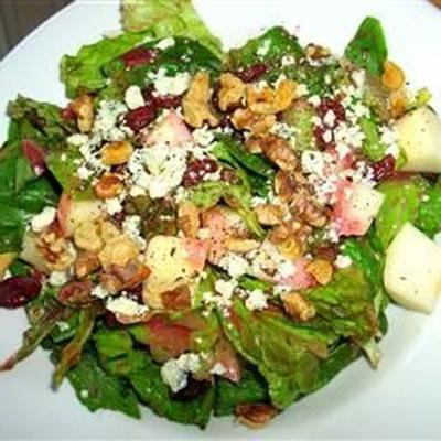 salade vallen met cranberry vinaigrette