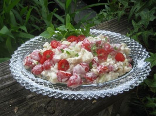 geslagen feta, tomaat en komkommer Griekse salade