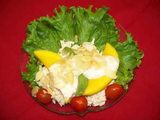 papaja en avocado kippensalade uit barbados