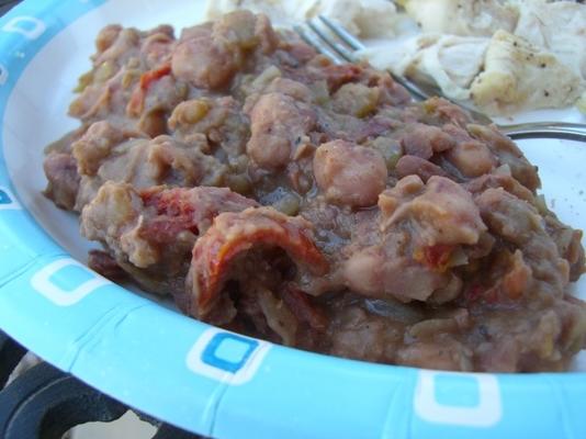 kokopelli anasazi bonen met zongedroogde tomaten