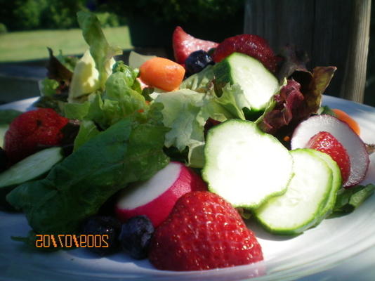 fruit en groenten goed voor u salade