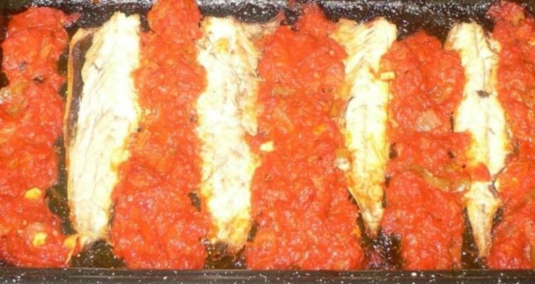 pittige makreel met chilipepers en tomaat